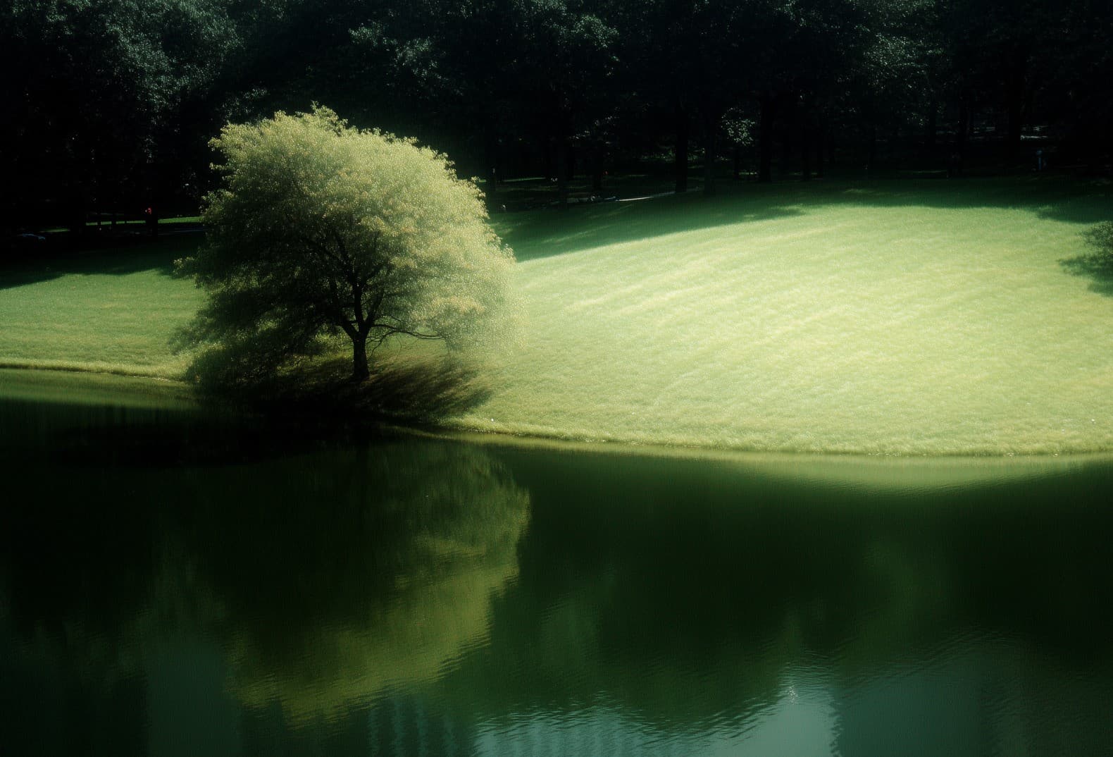 AI-Powered Document Verification & Feedback